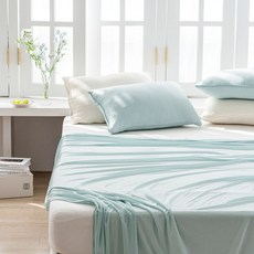 쉬즈홈 아이스 냉감이불 2p, 민트