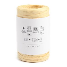 브랜드얀 요즘뜨는 페이퍼얀 뜨개실, 02 버터, 1개