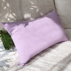 리드홈 션샤인 바이오워싱 쿠션 커버 + 솜, 바이올렛