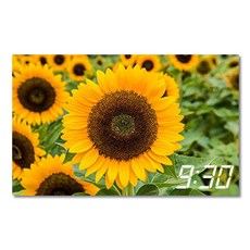 홈마인 캔버스 프린팅 액자 시리즈 LED 시계 해바라기 풍경 800 x 500 mm, 6