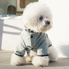 Pasteldog 便攜式寵物雨衣, 綠色