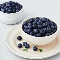 GAP 인증 상큼애 블루베리, 300g, 1개