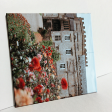 HTP 磁磚 現代植物 C668