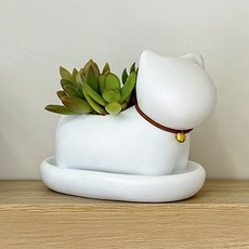 미르노아 고양이 다육이 화병 MMM3501, 화이트