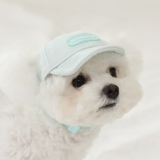 리토가토 강아지 러비 캡 모자, MINT, 1개