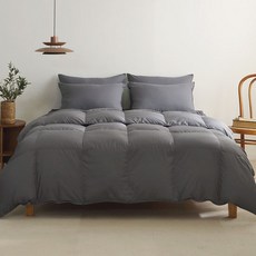 라셀렌 빌리프 거위털 폴란드 80 구스다운 차렵이불 300g, 웜차콜