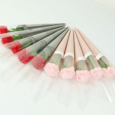 Blüehen 所有夢想康乃馨 2 x 5p 套組, 紅色, 粉色