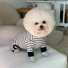 바이담수미 강아지 메르 단가라 올인원, 네이비, 1개