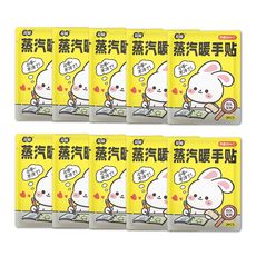 荷瞳 蒸氣暖手貼 2片, 10包