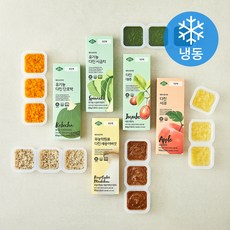 베리네이처 유기가공식품 인증 야채큐브 시금치 60g + 단호박 60g + 새송이버섯 60g + 사과 60g + 대추 60g 세트 A (냉동), 1세트