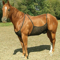 馬腹部保護罩, 單一顏色, 1個