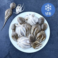 The더착한 활쭈꾸미 (냉동), 1개, 1kg(80/100)