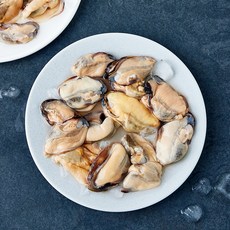 바다자리 국내산 매일손질 생물 홍합살 (냉장), 1개, 600g