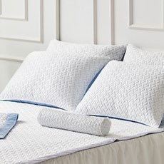 gBEDDING 枕頭套 2入+枕芯 2入 Serena Duraron款, 藍色