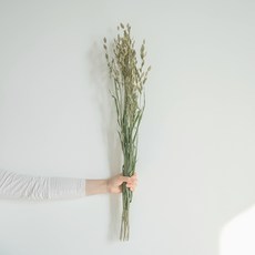 GAPANG 霧藍乾花DRYB232, 02綠色