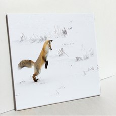 UDP 磁磚相框 A型 3822455, 單一顏色