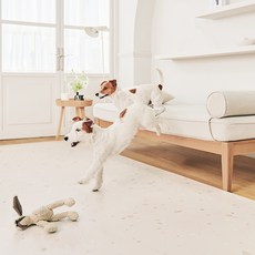 에코폼 반려동물 미끄럼방지 논슬립 롤매트, 베이지테라조, 1개