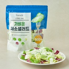 팜에이트 가벼운 채소샐러드, 500g, 1개