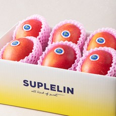 수플린 대만 애플망고 알뜰세트, 2kg(6~7입), 1박스