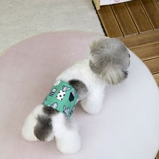 코코스튜디오 강아지 수컷용 코코 드리미 매너벨트 선인장 민트, 1개, 1개입, 특대형