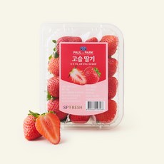 폴앤박 고슬 딸기, 1개, 250g
