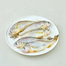 산지직송 일품 법성포 선별참조기 (냉장), 1개, 450g(특대, 5미)