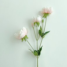 베누디 조화 아네모네, 연핑크, 1개