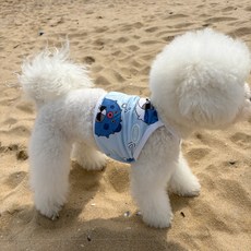 바크독 강아지 기능성 캐릭터 크롭 쿨나시, 블로피쉬 스카이, 1개