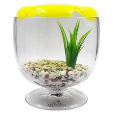 MOSTPET 紅酒造型魚缸, 五色砂