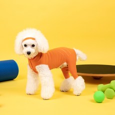 Dr.PETSTAR 髕骨寵物髕骨護理服, 橘子