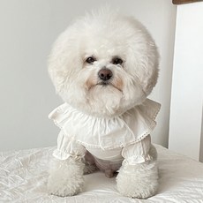 bydamsoomi 狗狗氣球公主上衣, 奶油色