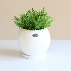 Garden in the City 現代陶瓷圓形單植花盆+底座組 447, 白色