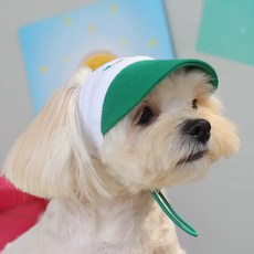 AMYLOVESPET 狗狗高爾夫球桿短版遮陽帽, 綠色
