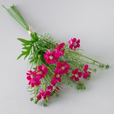 BLOOMING&ME 人造波斯菊, 酒紅色, 1個