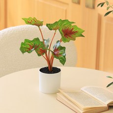 센트바스켓 조화 싱그러운 식물 그리너리 인테리어 화분 페페, 혼합색상, 1개