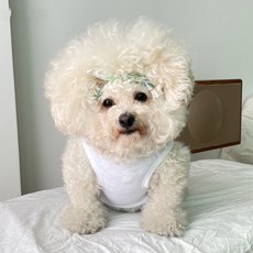 bydamsoomi 寵物椰子樹連身裙 + 圍巾套裝, 白色