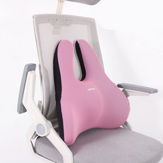 今日 6D 新一代護腰辦公室靠背墊, 粉紅色