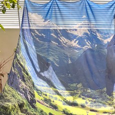 單色雪紡面料海報+夾緊5p套裝, 38 Switzerland