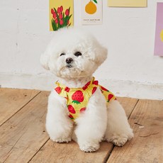 베니즈 반려동물 베리 크롭 원피스, 옐로우, 1개