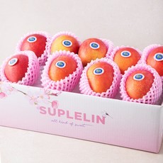 수플린 대만 애플망고 실속세트, 2.5kg(9~10입), 1박스