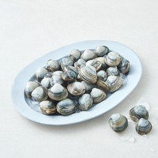 바다림 중국산 생물 동죽조개, 1개, 500g