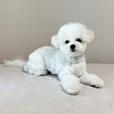 Groomingdaengyi 寵物迷你愛心透視防蟲連身衣, 1個, 白色