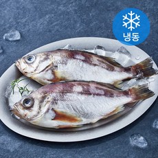 아라보감 국내산 반건조 손질 열기 (냉동), 320g 내외, 1개