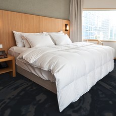 소프라움 프랑스 90 덕다운 이불솜 사계절, 화이트