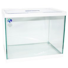 SAMAQUA 白色熱帶魚, 45 x 31 x 36 厘米