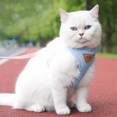 Lanboer 寵物柔軟彩色網眼胸背帶套組, 藍色