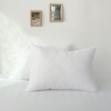 拉鍊式雲朵枕芯, 單一顏色, 2個