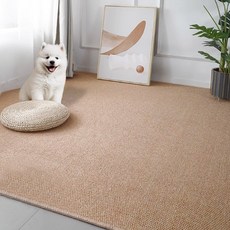 딩동펫 반려동물 사계절 먼지없는 물세탁 미끄럼방지 카페트, 브라운, 1개