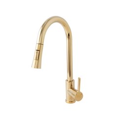 Jeniss不鏽鋼水龍頭 金色 A200 B, 1個