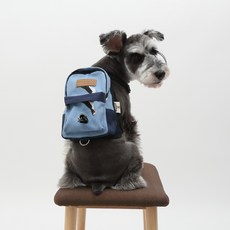 AMYLOVESPET 寵物迷你後背包 M號, 企鵝, 1個